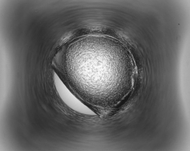 X0000085070916200703191258