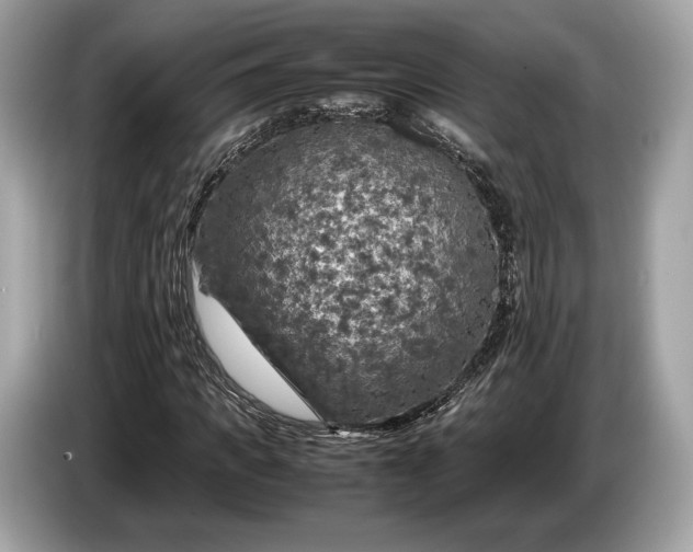 X0000085070917200703191258