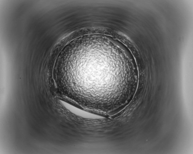 X0000085070919200703191258