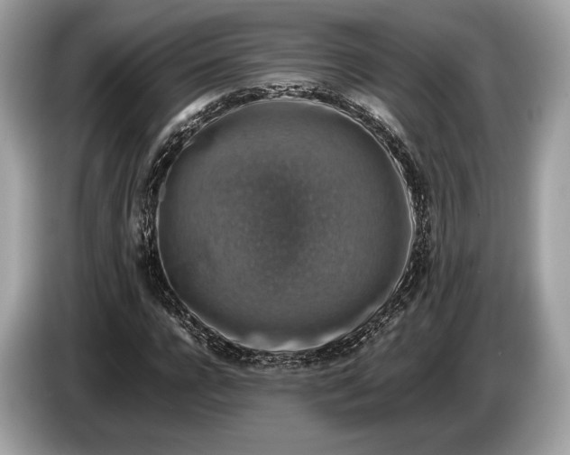 X0000085070920200703191258