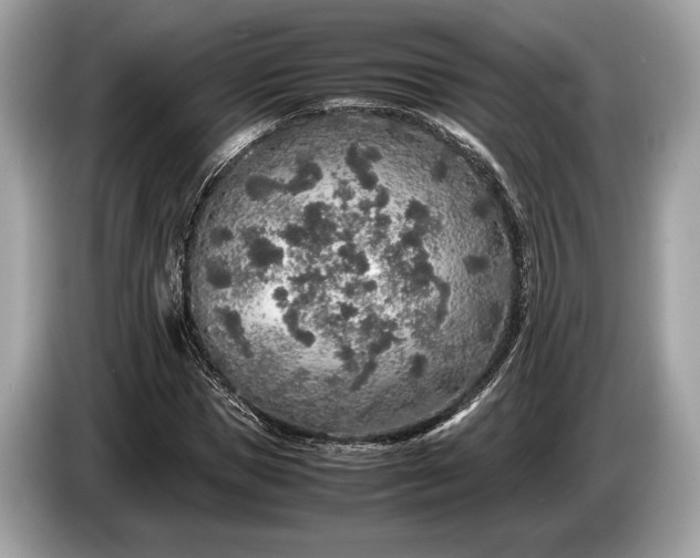 X0000085070921200703191258