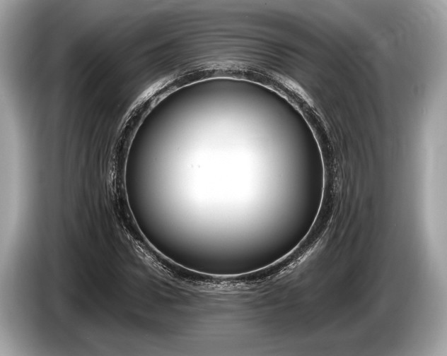 X0000085070922200703191258