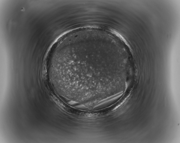 X0000085070923200703191258