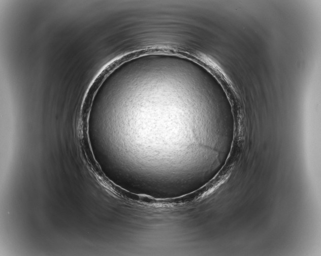 X0000085070924200703191258