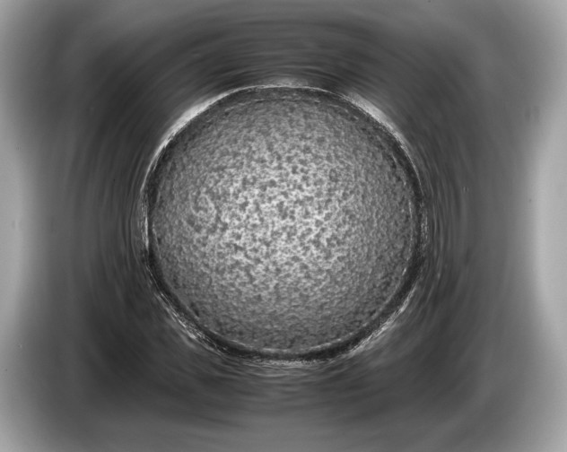 X0000085070925200703191258