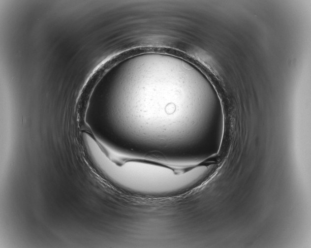 X0000085070926200703191258