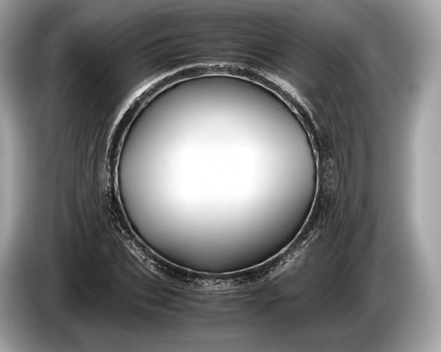 X0000085070927200703191258