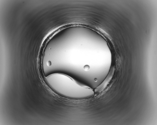 X0000085070928200703191258