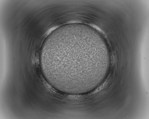 X0000085070929200703191258