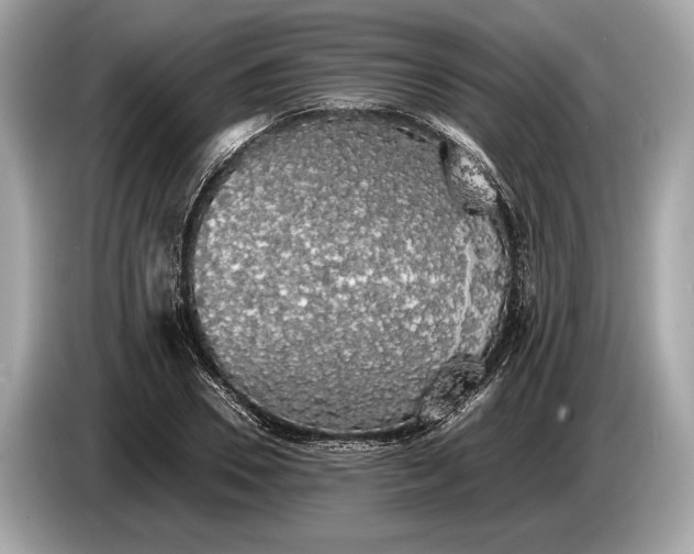 X0000085070930200703191258