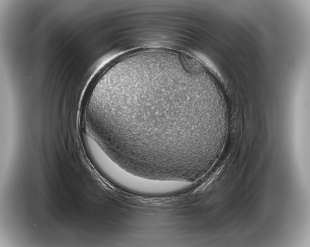 X0000085070932200703191258