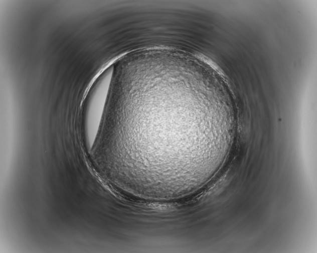 X0000085070933200703191258