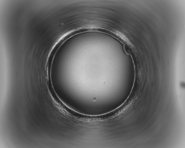 X0000085070934200703191258