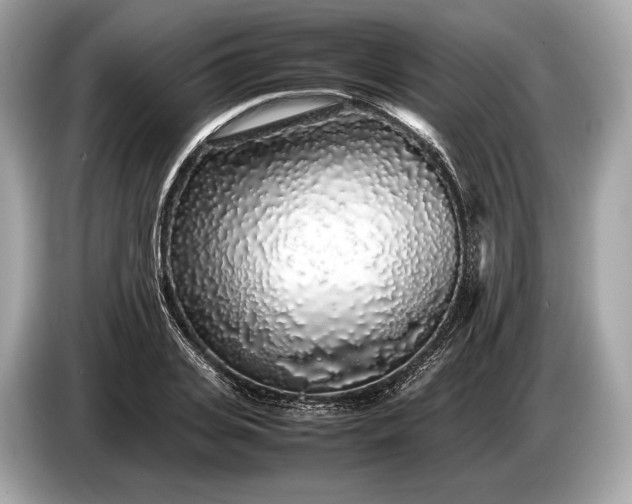 X0000085070935200703191258