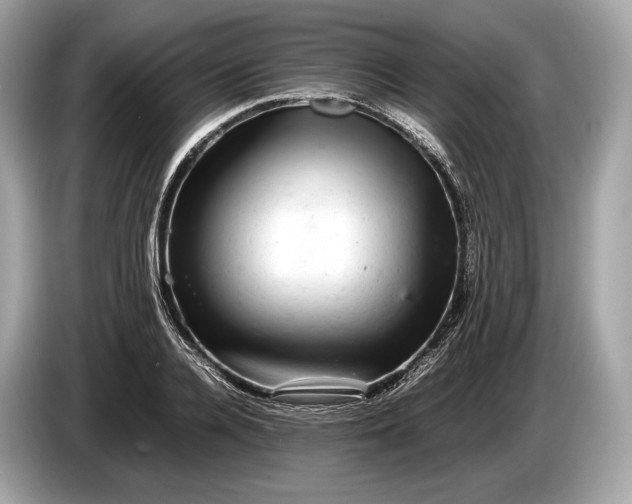 X0000085070936200703191258