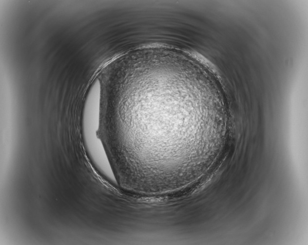 X0000085070937200703191258