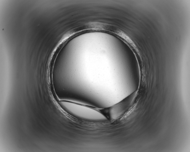 X0000085070939200703191258