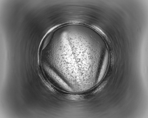 X0000085070940200703191258