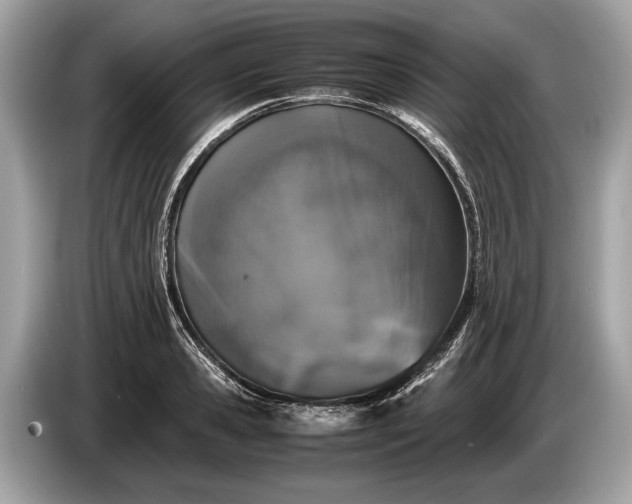 X0000085070941200703191258