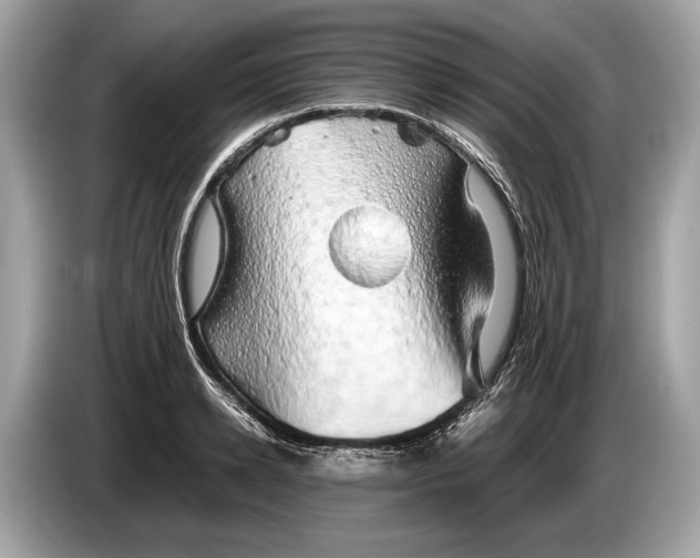 X0000085070942200703191258