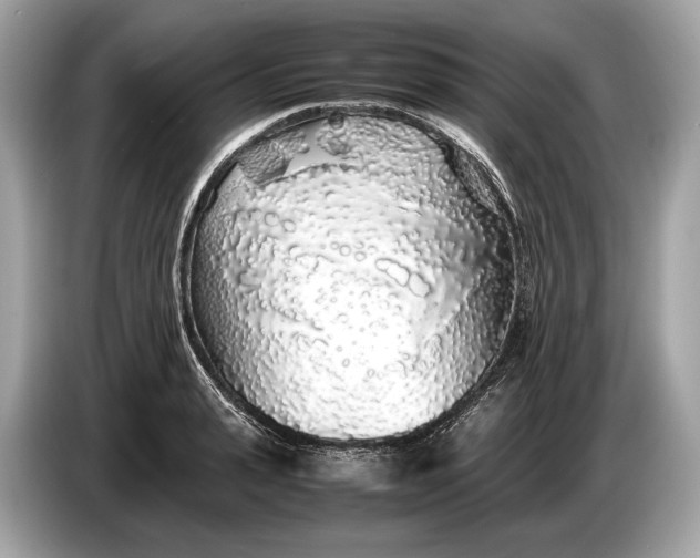 X0000085070943200703191258