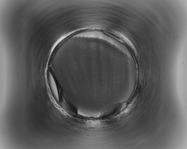 X0000085070944200703191258