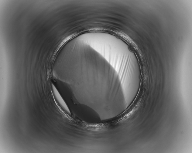 X0000085070945200703191258