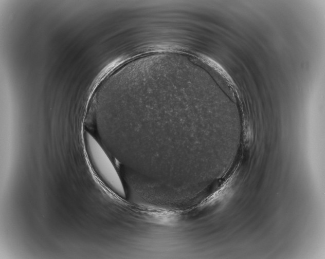 X0000085070946200703191258