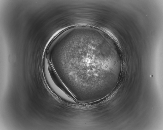 X0000085070948200703191258