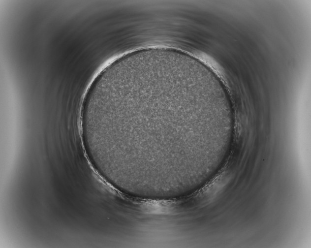 X0000085070950200703191258