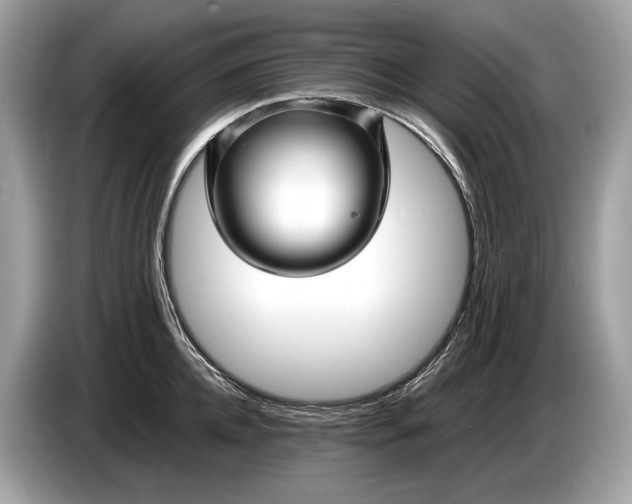 X0000085070952200703191258