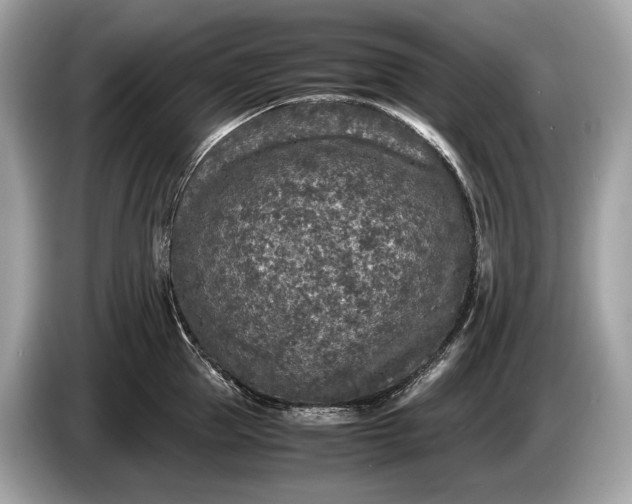 X0000085070953200703191258