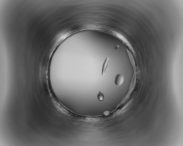 X0000085070954200703191258