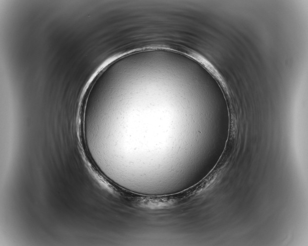 X0000085070955200703191258