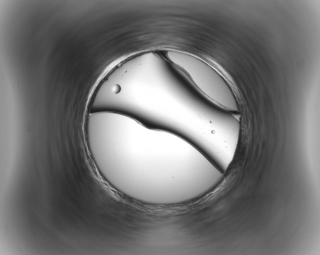 X0000085070956200703191258