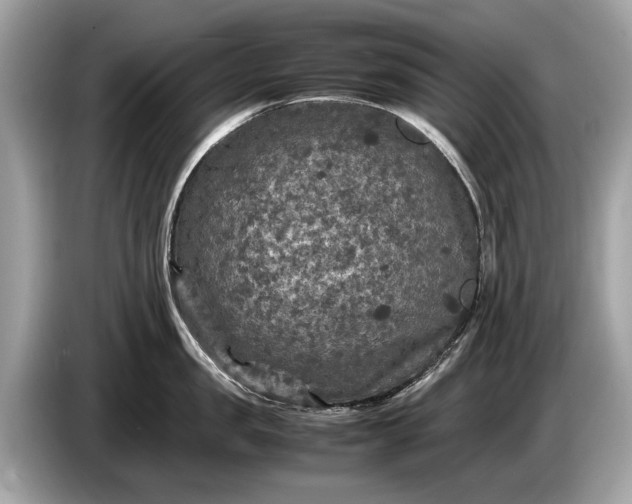 X0000085070957200703191258