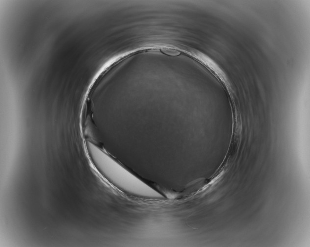 X0000085070958200703191259