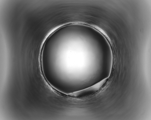 X0000085070959200703191259