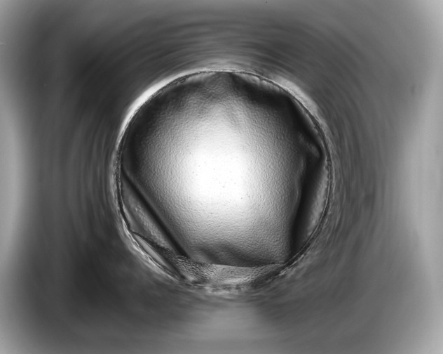 X0000085070960200703191259