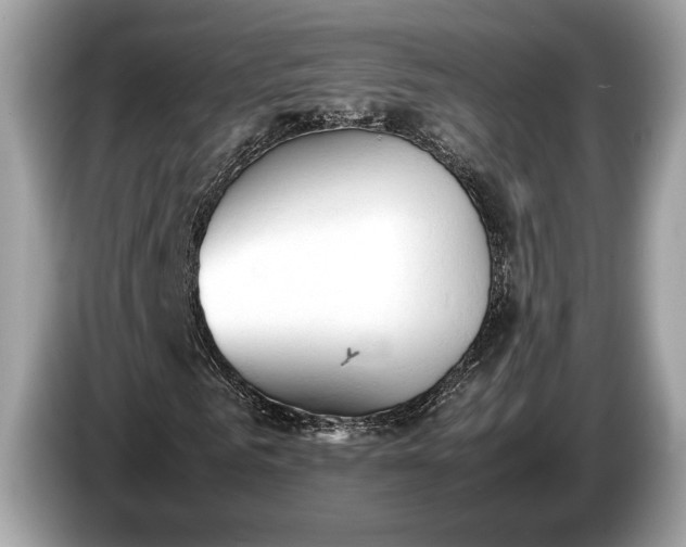 X0000085070961200703191258