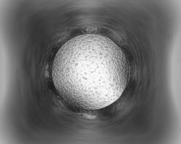 X0000085070962200703191258