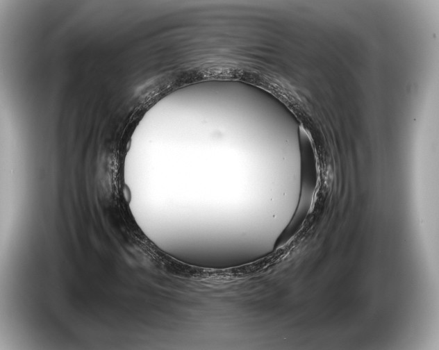 X0000085070964200703191258