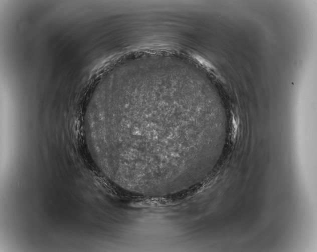 X0000085070966200703191258