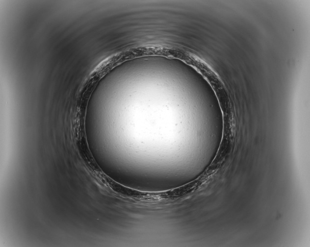 X0000085070968200703191258