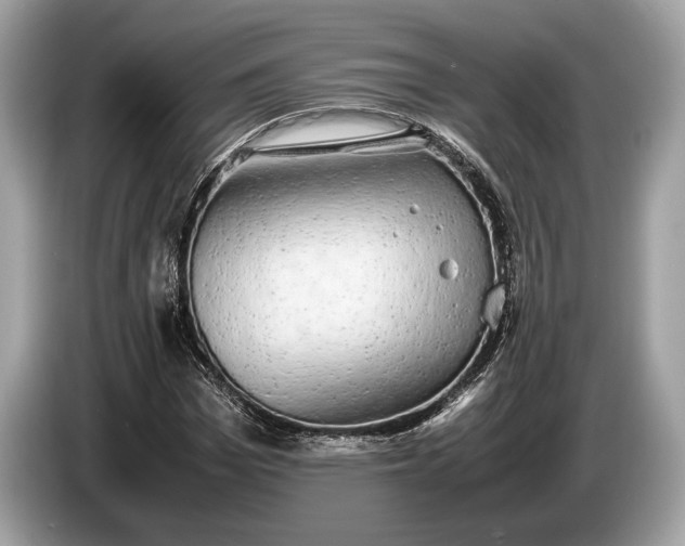 X0000085070969200703191258