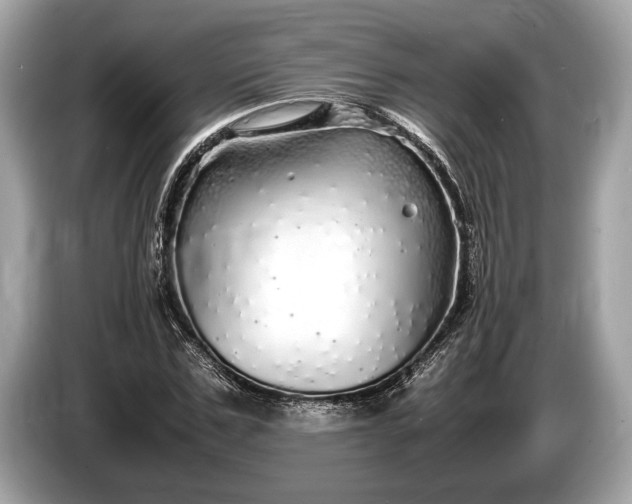 X0000085070971200703191258