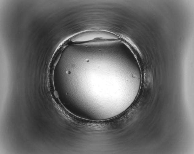 X0000085070972200703191258