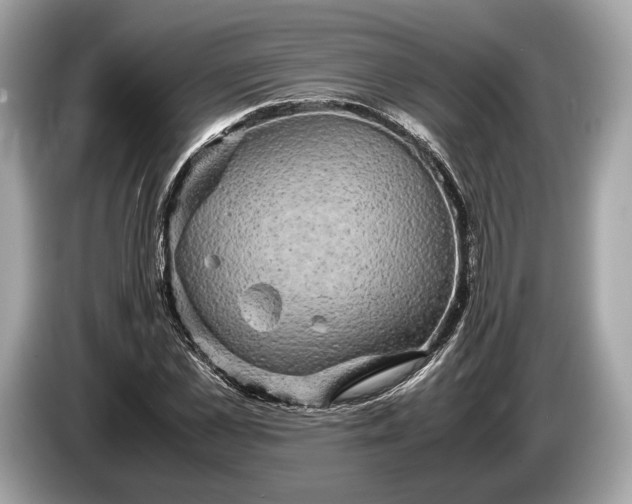 X0000085070973200703191258