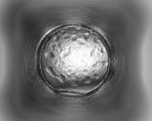 X0000085070975200703191258