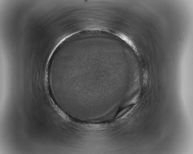 X0000085070976200703191258